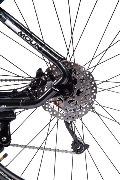 Horské elektrokolo Mount 6.3 Ltd (21) - foto 9