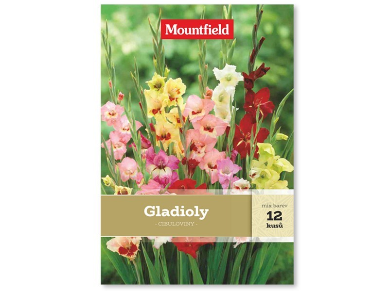 Gladioly Prodej (gladiol prodeji, 10-15 menší, bohaté kvetení) Gladioly Prodej