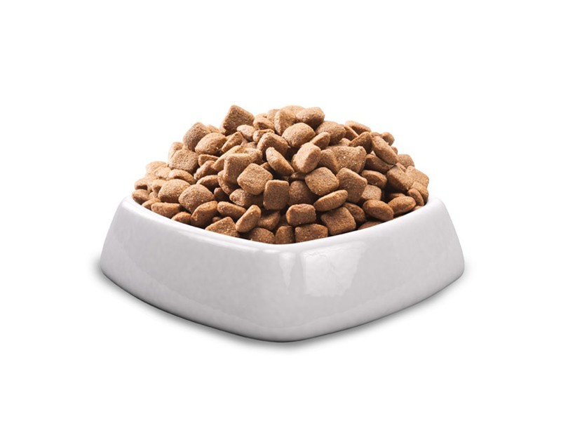 Vivavita granule pro psy velkých plemen 7kg - foto 2