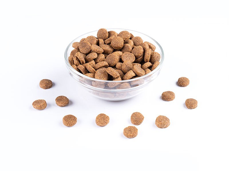 Vivavita granule pre staršie psy hydinové 7kg - foto 5 Vivavita granule pre staršie psy hydinové 7kg - foto 5