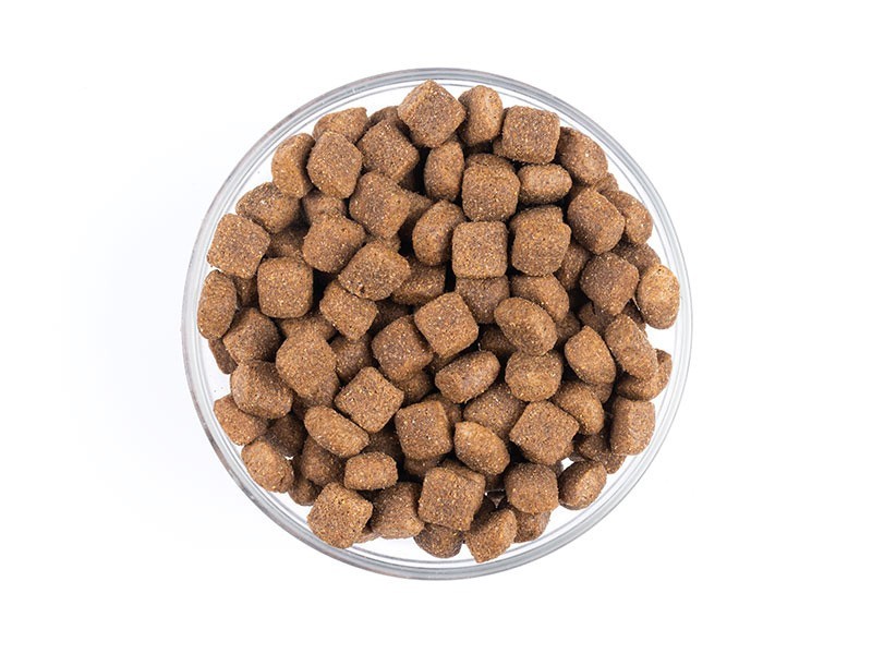 VIVAVITA granule pro dospělé aktivní psy 15kg - foto 6