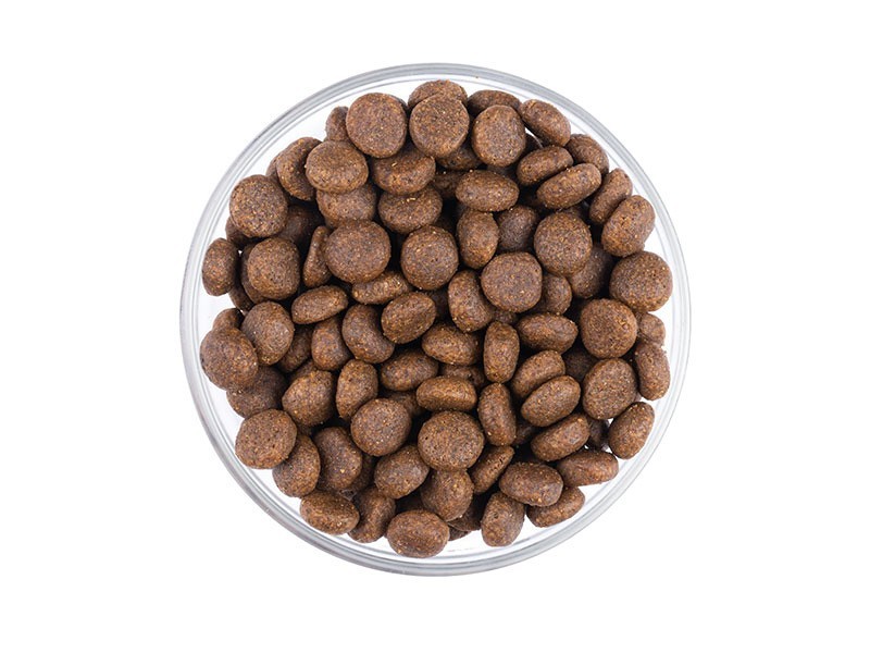 StarVita granule pro dospělé psy kuře,ryba 4kg - foto 2 StarVita granule pro dospělé psy kuře,ryba 4kg - foto 2