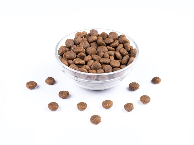 StarVita granule pro štěňata velkých plemen 4kg - foto 2 StarVita granule pro štěňata velkých plemen 4kg - foto 2