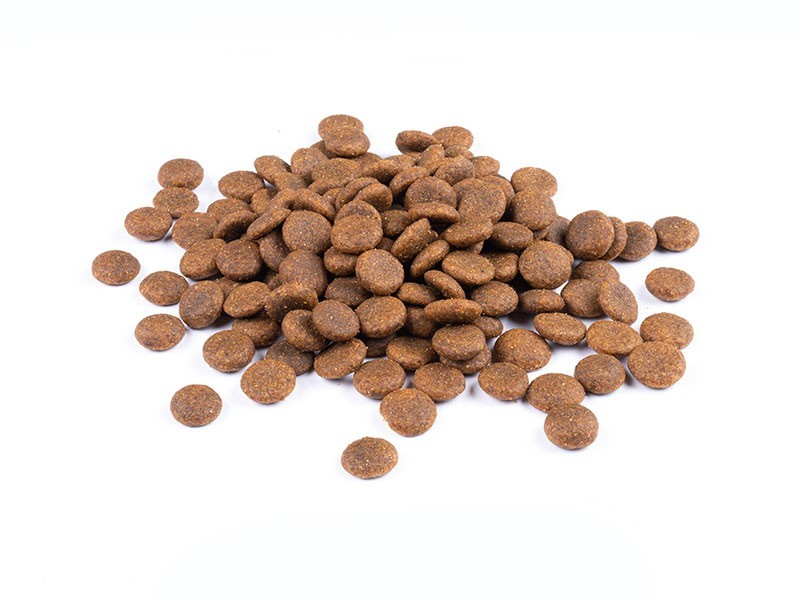 StarVita granule pre staršie psy hydinové 4kg - foto 3