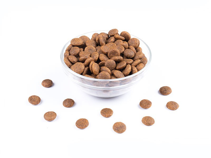 StarVita granule pre staršie psy hydinové 4kg - foto 4