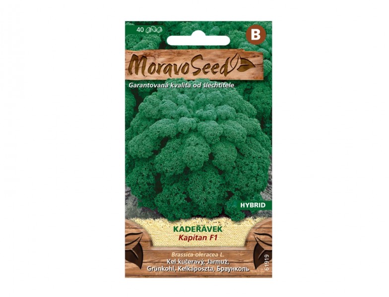 Kadeřávek KAPITAL F1 - hybrid, zelený - foto 1 Kadeřávek KAPITAL F1 - hybrid, zelený - foto 1