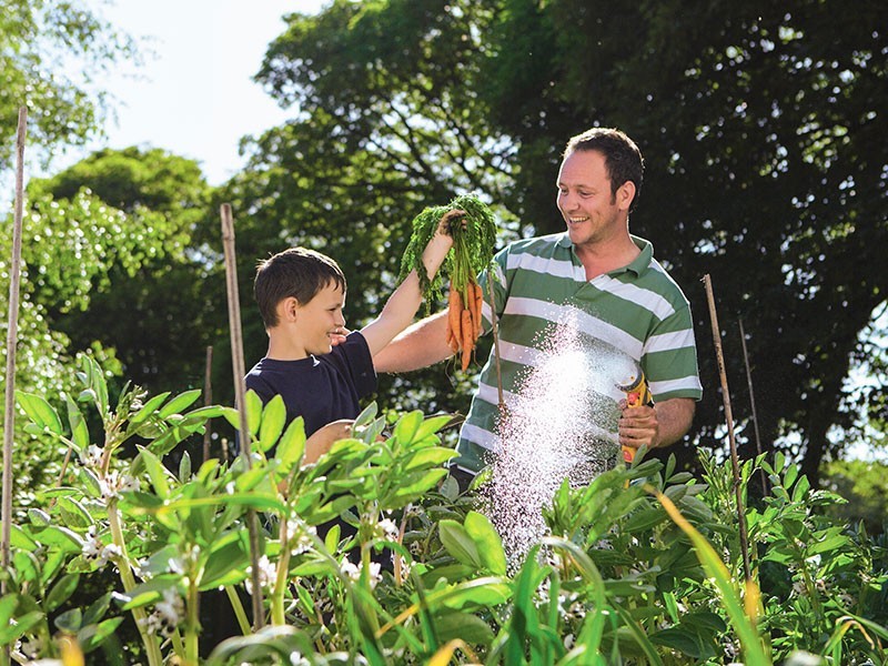 Sprcha Multi Plus 2684 HOZELOCK - foto 2