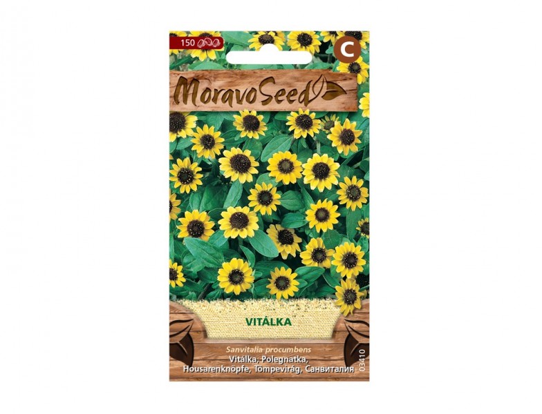 Vitálka položená, žlutá - foto 1