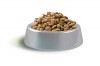 Carnis granule dospelý pes 10kg - foto3