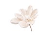 Vánoční květ magnolie, béžová, 14 cm Vánoční květ magnolie, béžová, 14 cm