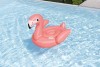 Rider Flamingo