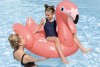 Rider Flamingo