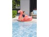 Rider Flamingo