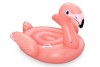 Rider Flamingo