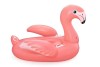 Rider Flamingo