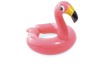 Kruh Animal split