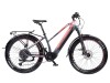 Horský elektrobicykel SUV 8.4 W Evo (16,5)