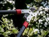Nožnice MTF P90-T