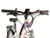 Dámské ELEKTROKOLO trekové Road Lady 7.0 (19)