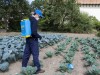 Zádový postřikovač  MATABI SUPER GREEN 12l - foto3