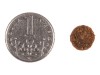 Vivavita granule pro štěňata hovězí 7kg - foto4