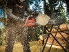 Benzínová motorová píla Shindaiwa 501sx - foto15