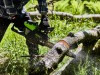 Aku Reťazová píla Greenworks GD60CSC404 60V - foto6