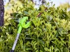 Aku plotové nůžky s dosahem Greenworks G24PH51 24V - foto4