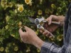 Zahradní nůžky Eversharp univerzální - foto3