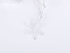 Svetelný záves vločky, studená biela 80 cm - foto4