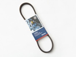 alternativa IC135064005