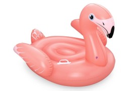 Rider Flamingo