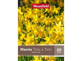 Narcis Tete a Tete 25 ks