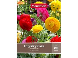 Pryskyřník mix 25 ks