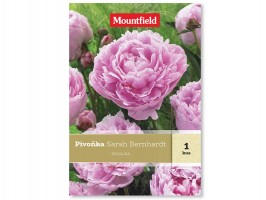 Pivoňka Sarah Bernhardt 1ks