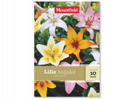Lilie asijské 10ks
