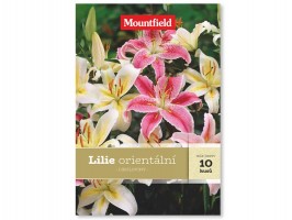 Lilie orientální 10ks