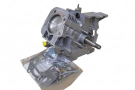 Polomotor model 21 HORZ