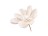 Vánoční květ magnolie, béžová, 14 cm Vánoční květ magnolie, béžová, 14 cm