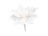 Biely vianočný kvet, 22cm