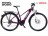 Trekový elektrobicykel Road 8.1 - W (17)
