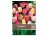 Tulipán mix 30 ks Tulipán mix 30 ks