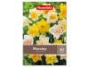 Narcis mix 30 ks Narcis mix 30 ks