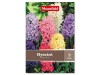 Hyacint mix 7 ks Hyacint mix 7 ks