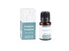 Esenciálny olej Eucalyptus 10ml Esenciálny olej Eucalyptus 10ml