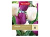 Tulipán mix duo,10ks Tulipán mix duo,10ks