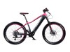 Horský elektrobicykel Hill 8.4 W (16) Horský elektrobicykel Hill 8.4 W (16)