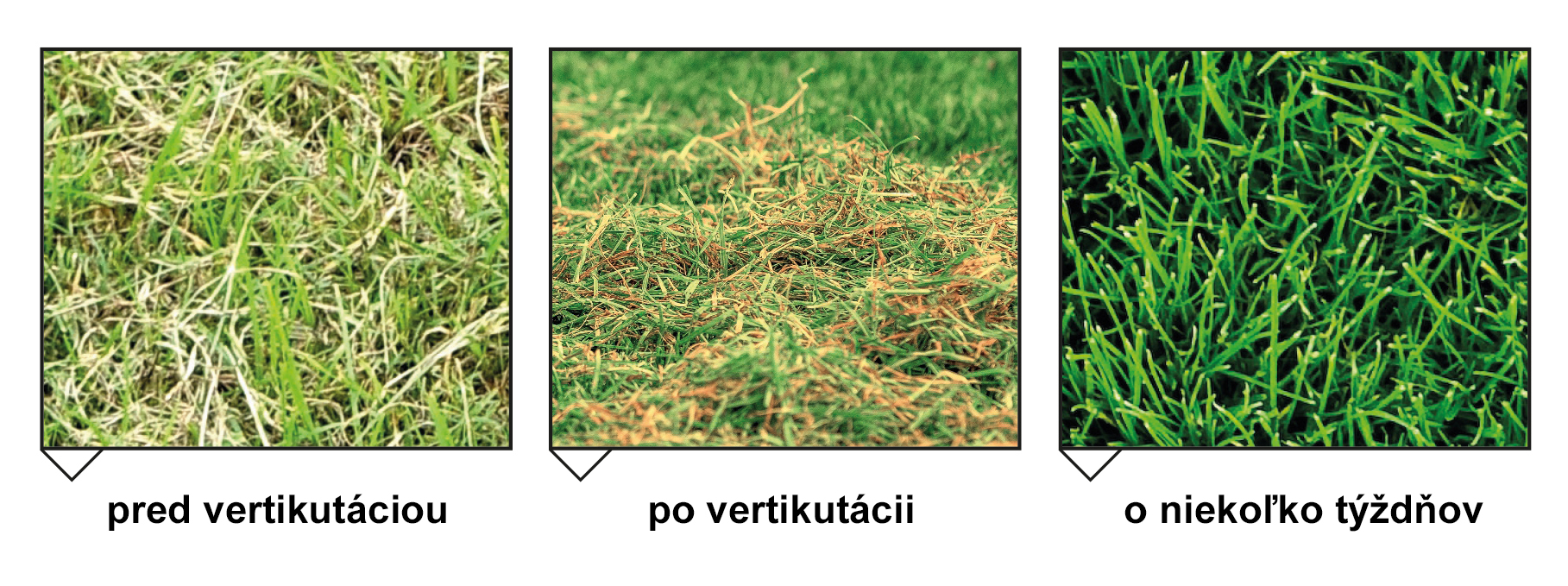Vzhľad trávnika pred a po vertikutácii