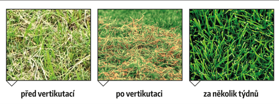 Vzhled trávníku před a po vertikutaci